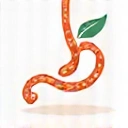 Digestive health icon
